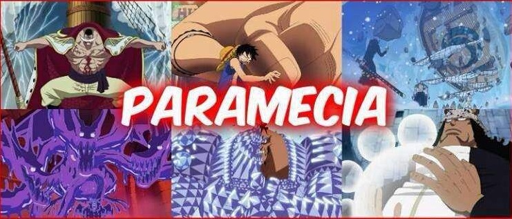 PARAMECIA - One Piece