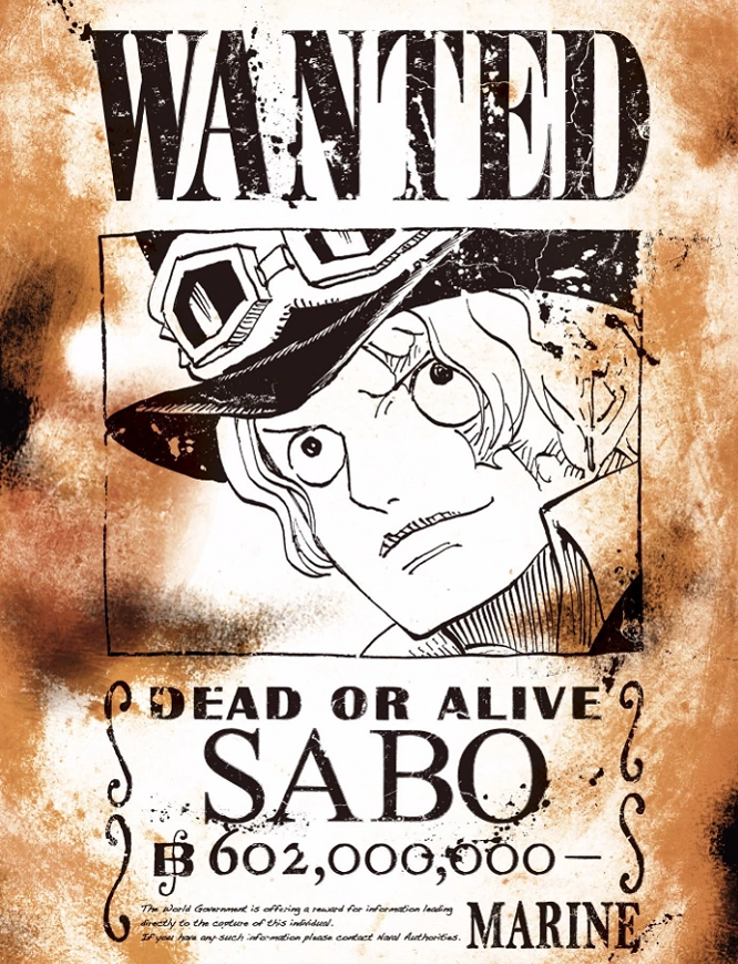 One Piece Bounty Poster Pigura