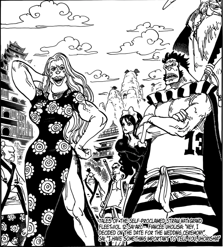 The Stories Of The Self Proclaimed Straw Hat Grand Fleet One Piece