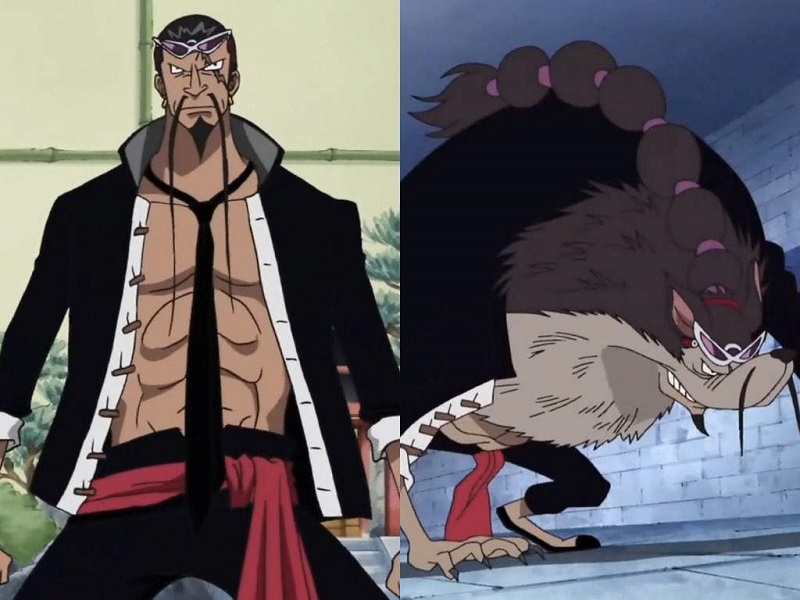 TOP 10 Zoan Devil Fruits - One Piece