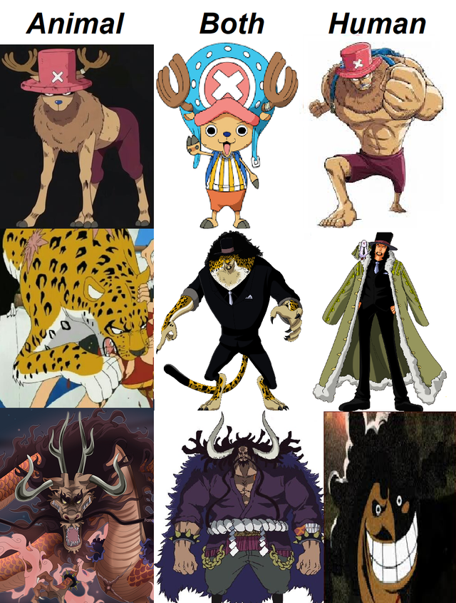 We Have Already Seen All The 3 Basic Forms Of Kaido One Piece