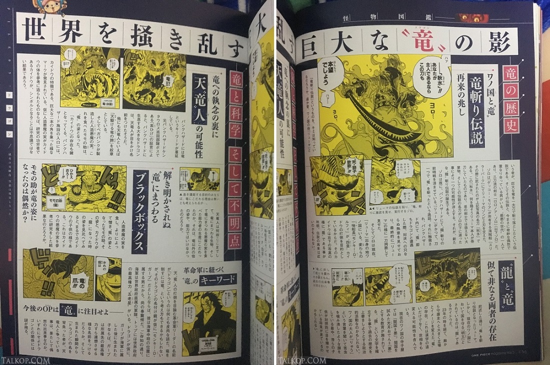 New Information About The Dragons Of One Piece Revealed One Piece