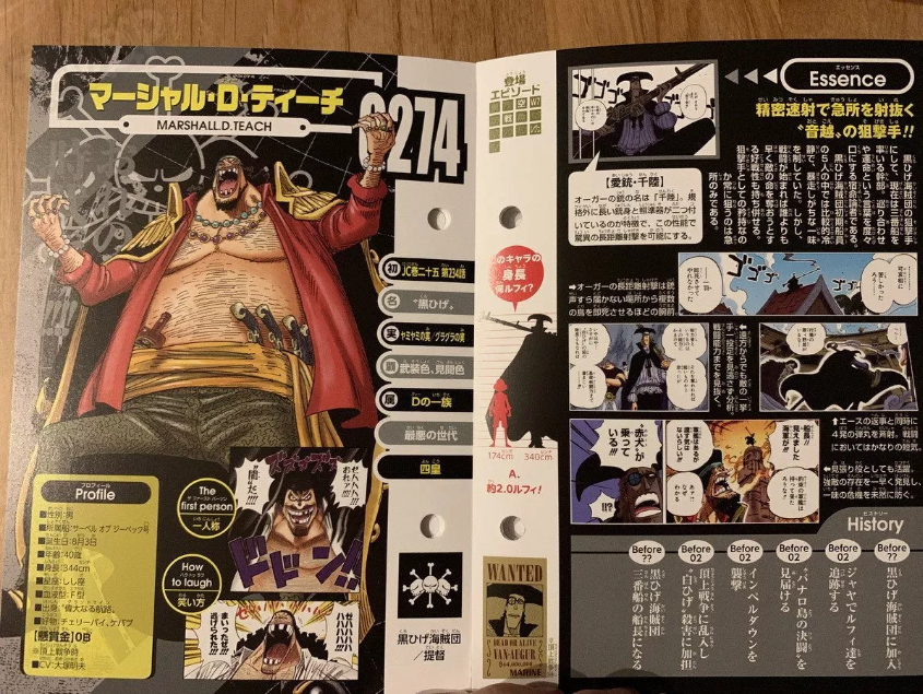 New Info On The Original Blackbeard Crew Revealed One Piece