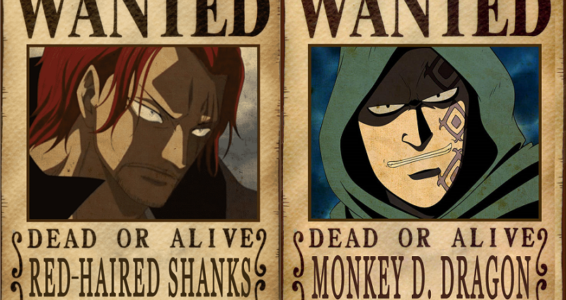 One Piece Monkey D Dragon Crew
