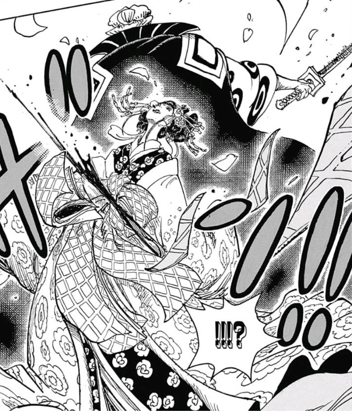 Relationship Between Zoro And Hiyori One Piece Fanpage