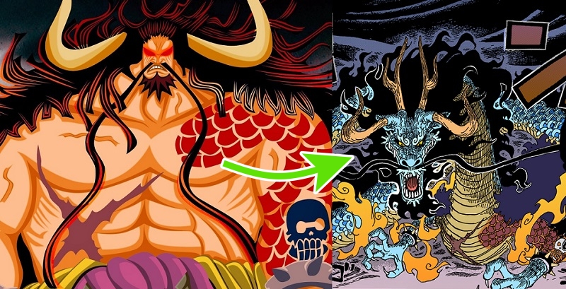 Dragon S Overpowered Devil Fruit One Piece