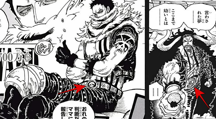 Chapter 973 Confirms Kaido Is Katakuri S Father One Piece Fanpage