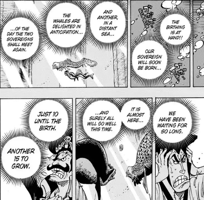 Chapter 1014 Confirms That The Reincarnation Of Joy Boy Is Not Luffy One Piece