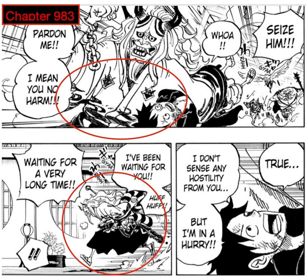 Have We Already Seen Yamato In Chapter 971 One Piece