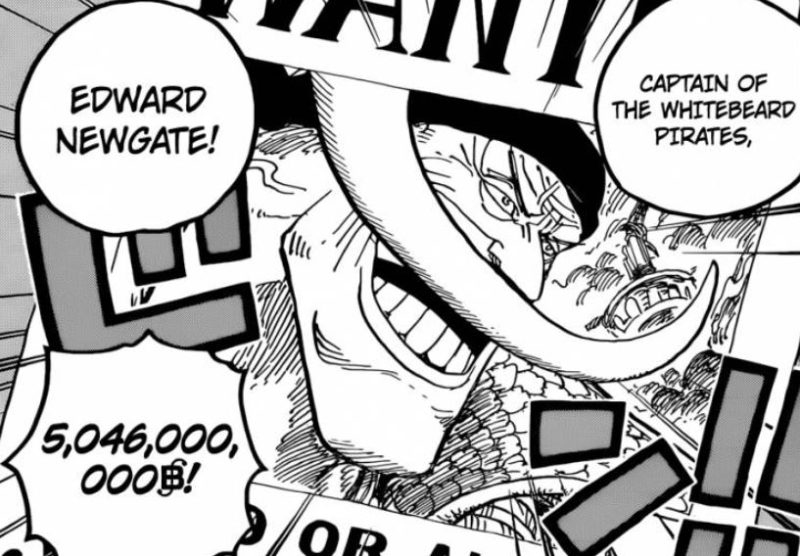 Why Whitebeard S Bounty Is Far More Impressive Than Gol D Roger One Piece