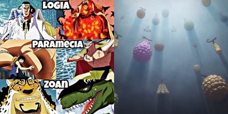 Op Quiz Test Your Knowledge On Devil Fruits One Piece