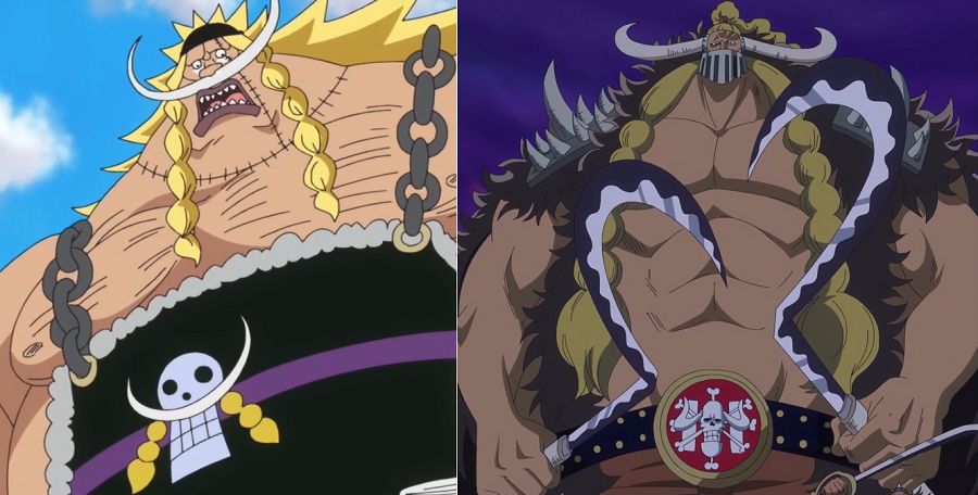 Jack The Drought Is The Real Son Of Whitebeard One Piece