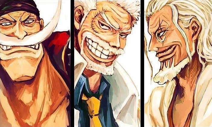 Monkey d garp