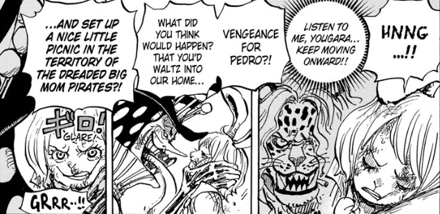 Last Chapter Showed Once Again How Revenge Has Never Been A Thing In One Piece One Piece