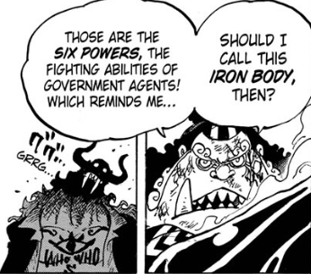 Honestly Oda probably should have just expanded on Rokushiki instead of  creating Haki. He could have definitely made it to where there are  techniques that allow you to hit logias and armament