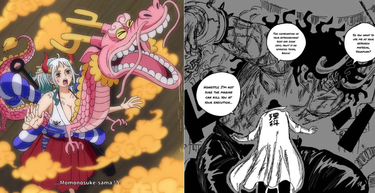 Is Momonosuke S Devil Fruit Really A Failure One Piece