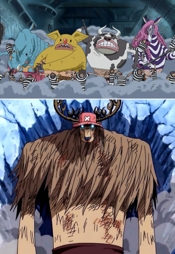 Is Chopper's Monster Point A Zoan Awakening?