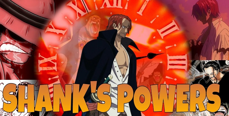 Toki Toki no Mi, One Piece Wiki