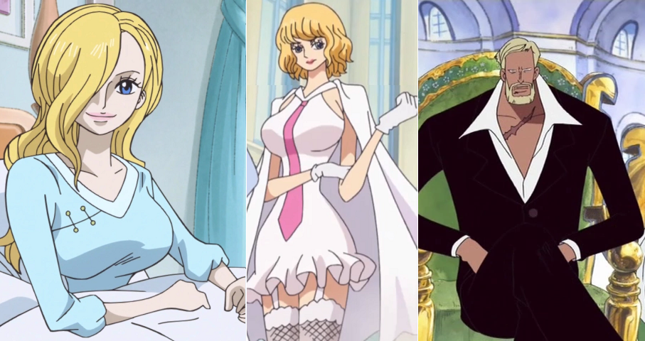 6 Facts about One Piece Vinsmoke Sora, Sanji's Kind Mother!, by Kznwebsite