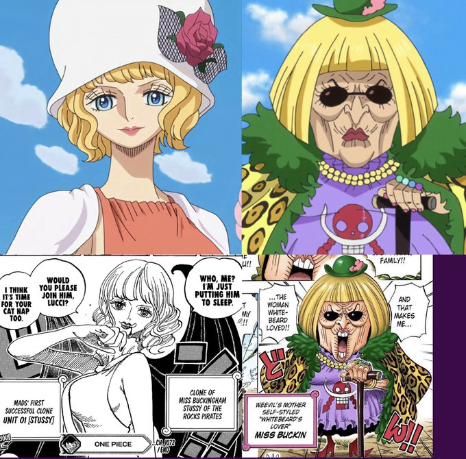 We already know who is the real Miss Buckingham Stussy! - One Piece