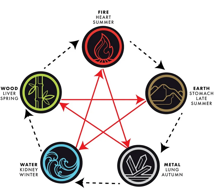 Five Elders' Devil Fruits (based on u/robinator305's post on the Five  Elders' Abilities) : r/OnePiece